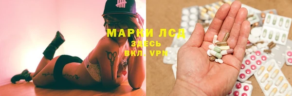 прущие грибы Алексеевка