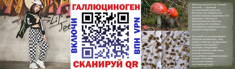 Купить закладки  Воркута  Галлюциногенные грибы MAGIC MUSHROOMS 
